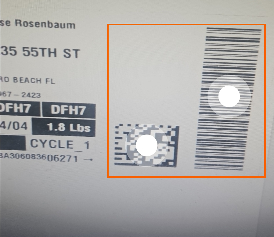 Screenshot of multiple barcodes detected showing the white circle icon.