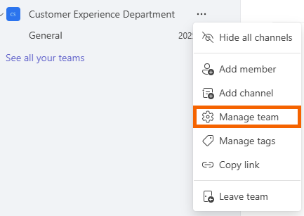 Screenshot showing the Manage team option.